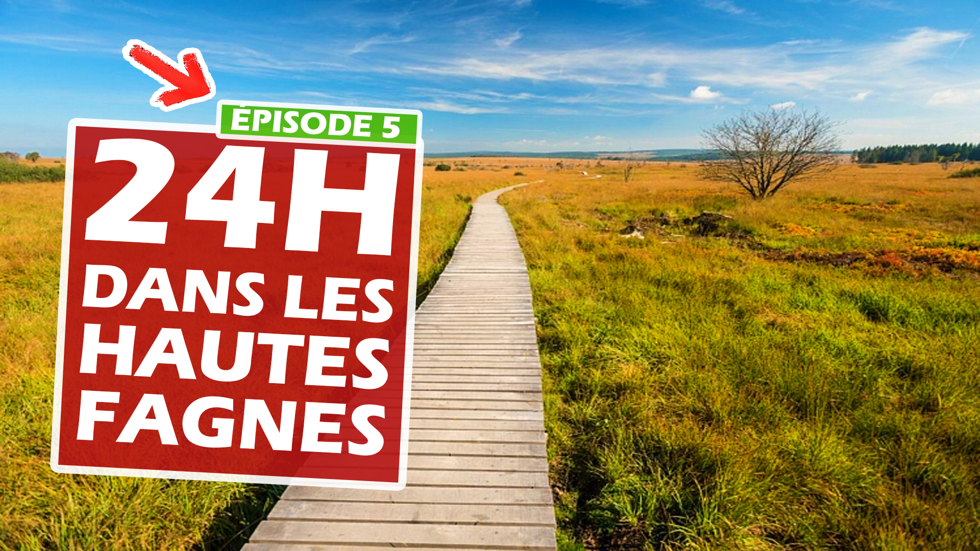 Les Hautes Fagnes