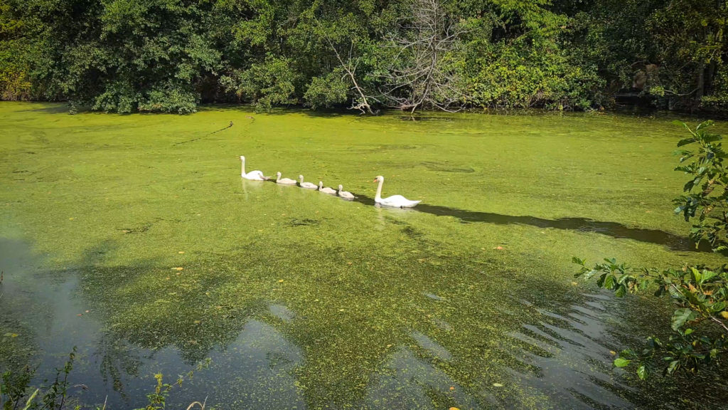 Nature et Randonnée Belgique