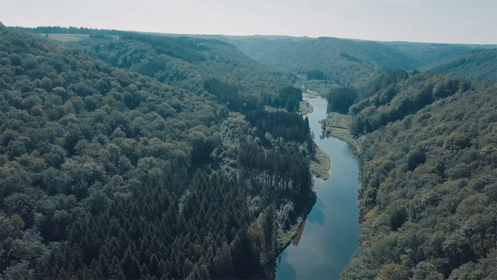 La balade des échelles– Rochehaut 