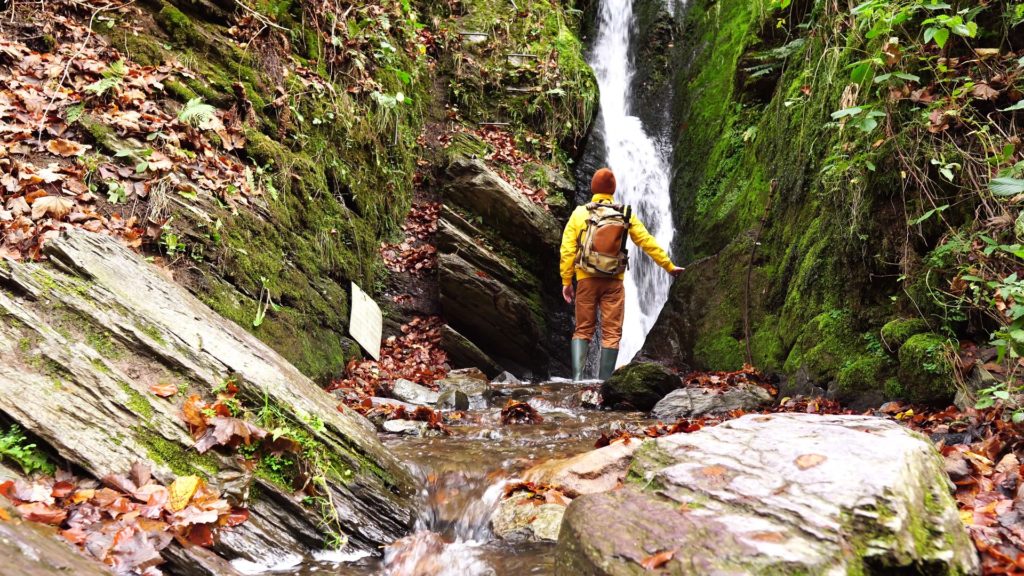 la cascade de reinhardstein