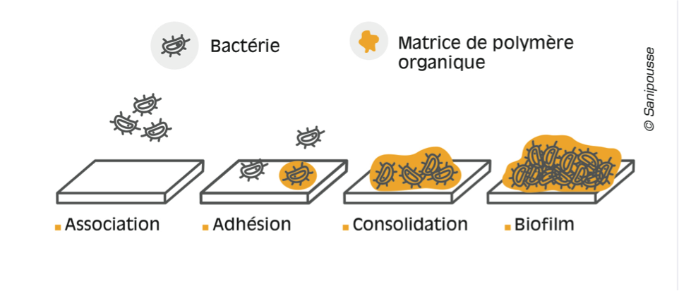 bio film eau potable van aménagé